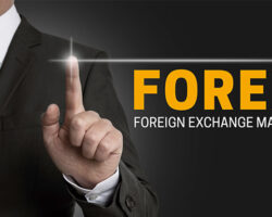 Immagine 10 Migliori Forum di Forex Trading Americani