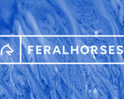 Immagine Feral Horses: la Nuova Piattaforma di Trading per l’Arte
