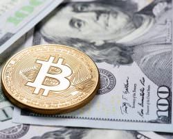 Immagine Bitcoin, Bitcoin Cash, Bitcoin Gold: Prospettive