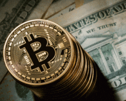 Immagine Trading Bitcoin: come fare l’Analisi Fondamentale