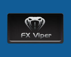 Immagine 5 Consigli per Fare Forex Trading come FX Viper