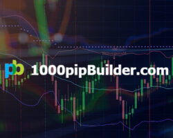 Immagine 1000 Pip Builder: l’Evoluzione del Copy Trading