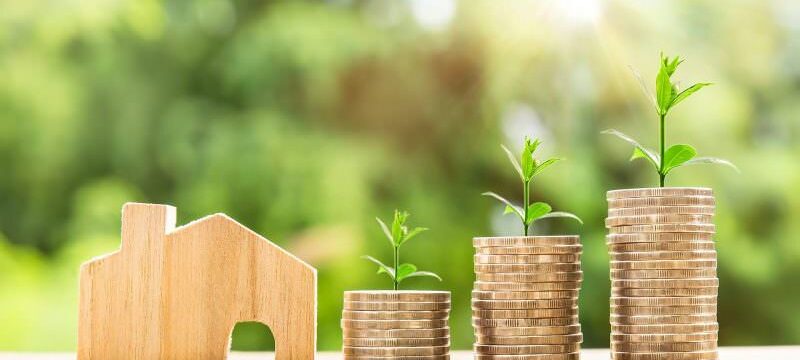 Immagine Investimento Immobiliare: una Guida Esaustiva