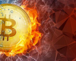 Immagine Bitcoin vs Coronavirus: il Punto su Come ha Reagito la Criptovaluta