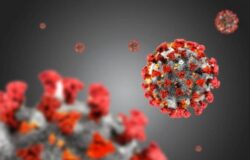 Immagine Seconda Ondata Coronavirus: le Consegue per i Mercati Secondo un Noto Economista