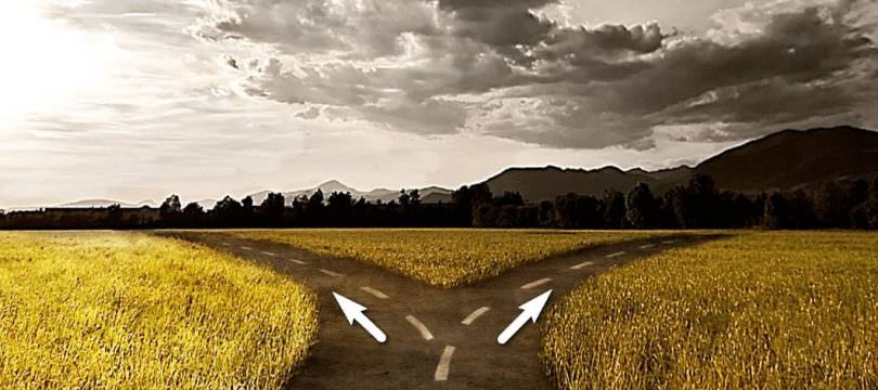 Immagine Valute, Azioni, ETF: un Confronto tra le Asset Class