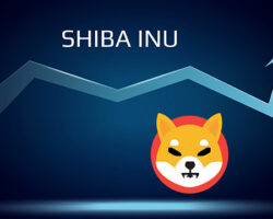 Immagine Shiba Inu: la Crypto Vola, Raggiungerà Bitcoin?