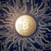 Immagine Come Orientarsi nel Settore delle Criptovalute