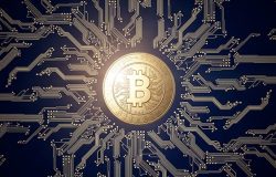 Immagine Come Orientarsi nel Settore delle Criptovalute