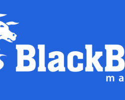 Immagine Blackbull Markets: un Broker a Misura di Trader