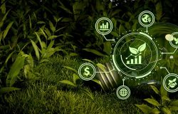 Immagine Come Si Evolverà Il Mercato Degli Investimenti ESG?