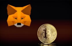 Immagine Colpaccio Metamask, Cosa Sta Succedendo?