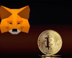 Immagine Colpaccio Metamask, Cosa Sta Succedendo?