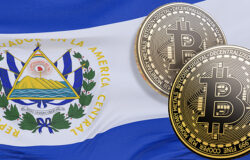 Immagine El Salvador ha Adottato Bitcoin Come Valuta Legale: Come Sta Andando?