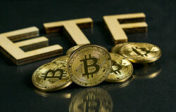 Immagine ETF Bitcoin: Ci Siamo? Le Prospettive Future