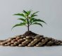 Immagine Le Basi della Finanza Personale: Come Costruire il Proprio Futuro Economico