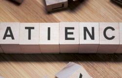 Immagine Trader Paziente: Ecco Perché vince