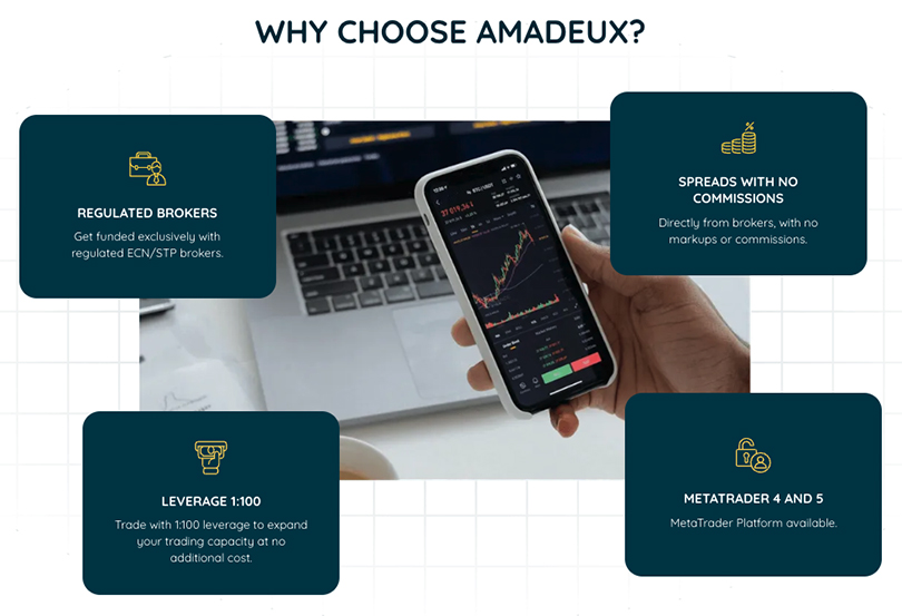 amadeux-details
