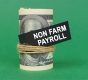Immagine NFP (Non-Farm Payrolls): L’Indicatore Sull’Occupazione USA Più Importante Immagine NFP (Non-Farm Payrolls): L’Indicatore Sull’Occupazione USA Più Importante